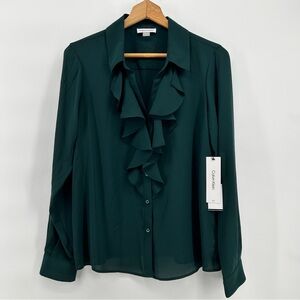 Calvin Klein Green Ruffle Sheer Long Sleeve Top Womens M NWT MSRP $79 Formal